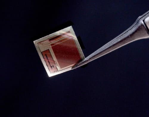 New Paper-Thin Brain Implant Could Transform How Humans Connect With AI